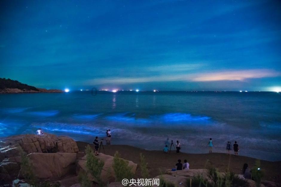 蛋炒饭先放菜你就错了原来饭店是这样做的，看过的人都表示没食欲