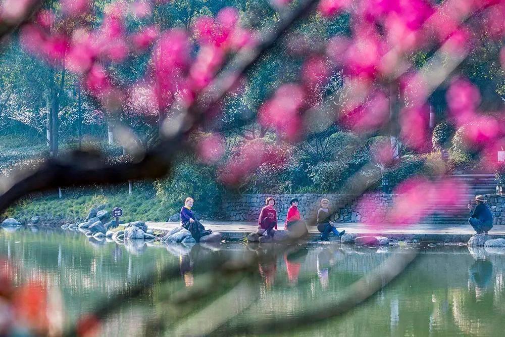 阿富汗难民会涌到中国吗游戏画面