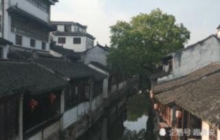 三小只僵尸的游戏时间6