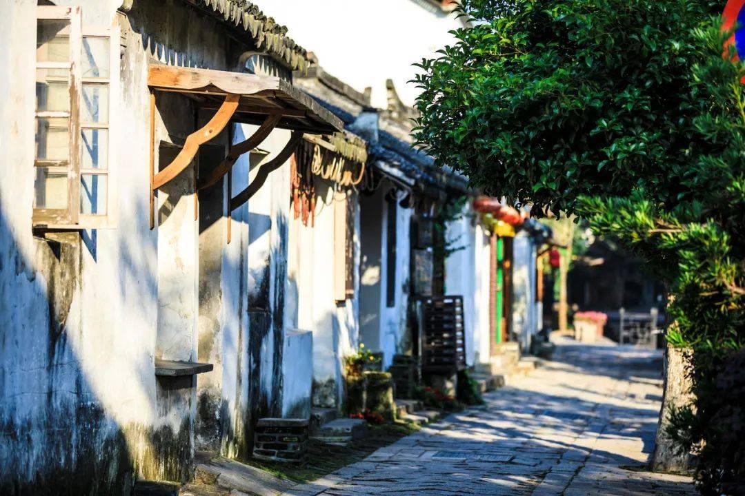洪潮之焰
