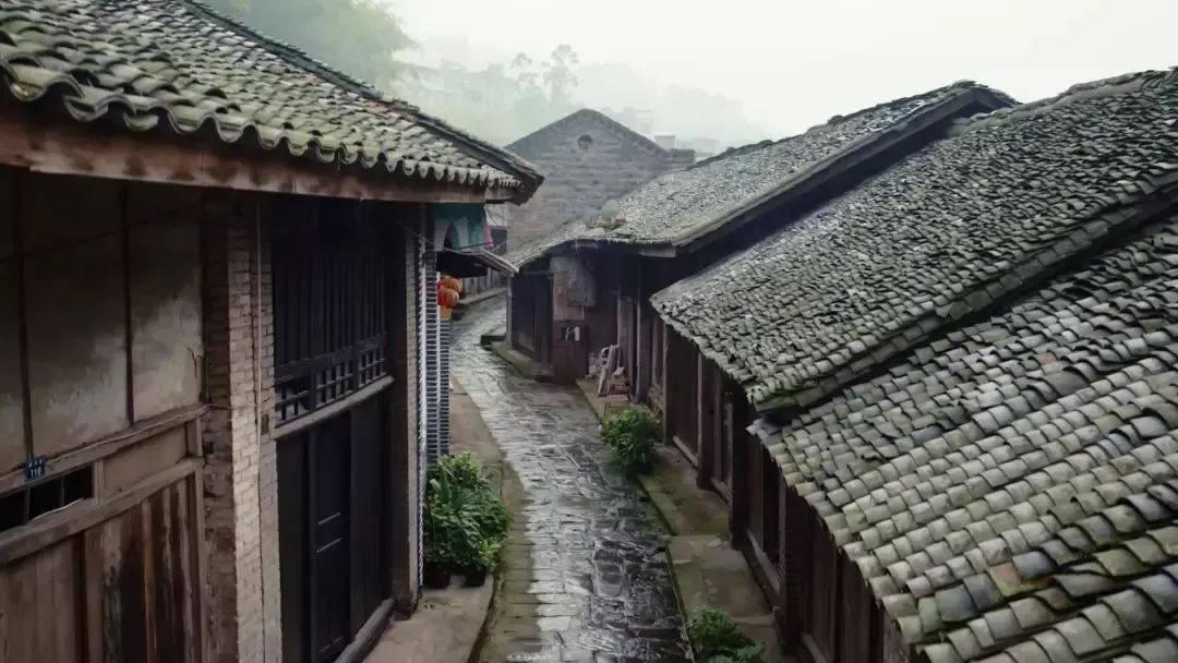 拯救可爱小公主