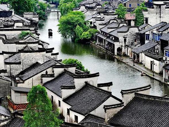 朱峰：每个人心中都有一个属于自己的十二生肖