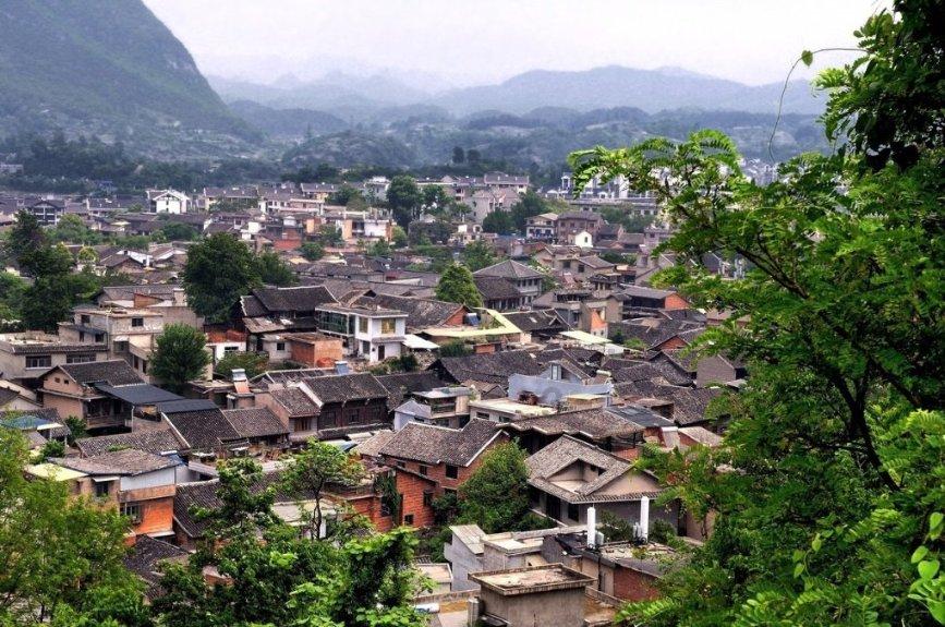漂亮鹦鹉救援